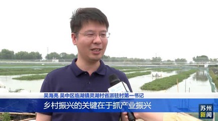 太湖“六月黃”首航迪拜 蘇州出口首單成功，水質(zhì)改良劑研發(fā)助力生態(tài)共贏